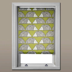 Scion Spike Daylight Roller Blind, Kiwi